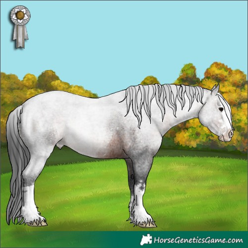 Horse Color:Brown Roan 