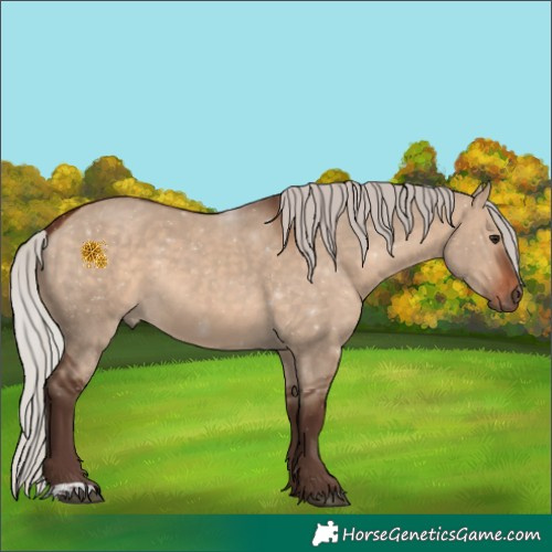 Horse Color:Silver Bay Dun 