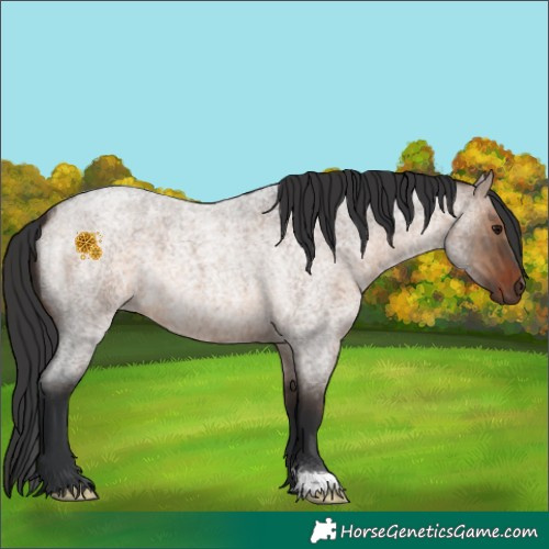 Horse Color:Brown Roan Dun 