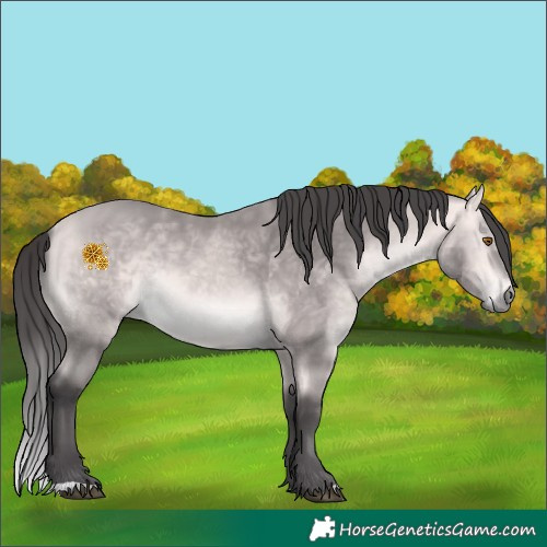 Horse Color:Platinum Buckskin 