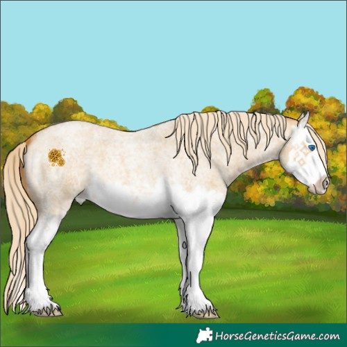 Horse Color:Palomino Roan Dun Splash 