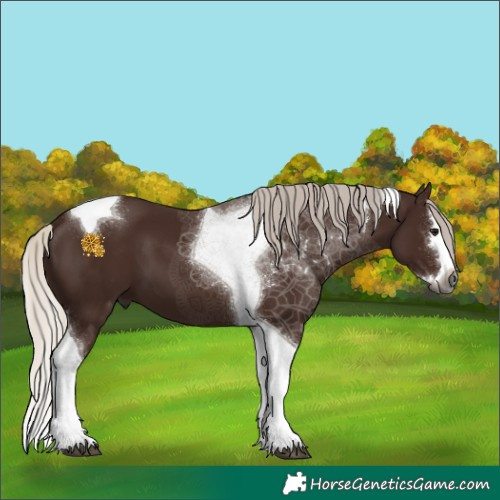 Horse Color:Gray Silver Black Splash Tobiano 
