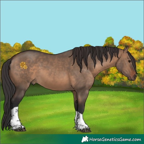 Horse Color:Brown Dun Tobiano Rabicano 