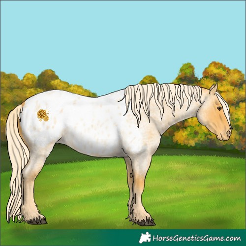 Horse Color:Palomino Roan Blanket 