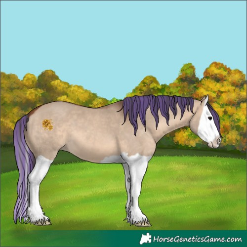 Horse Color:Painted Bay Dun Splash 
