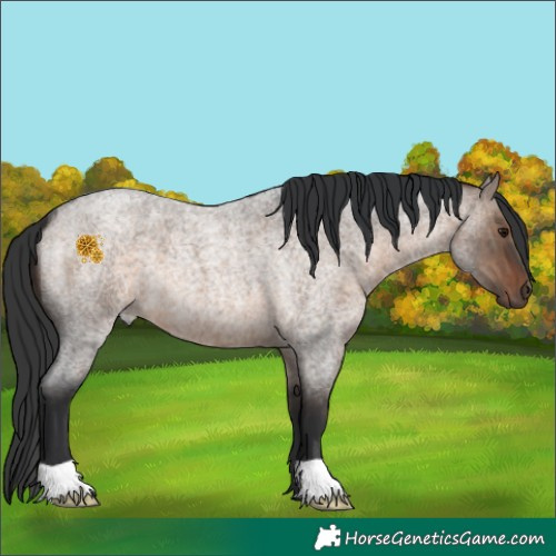 Horse Color:Brown Roan Dun 
