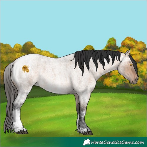 Horse Color:Bay Ice Roan Dun Tobiano 