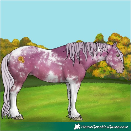 Horse Color:Gray Silver Amber Champagne Tobiano 