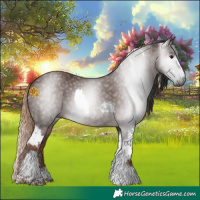 Horse Color:Gray Brown Tobiano  and Liver Chestnut 