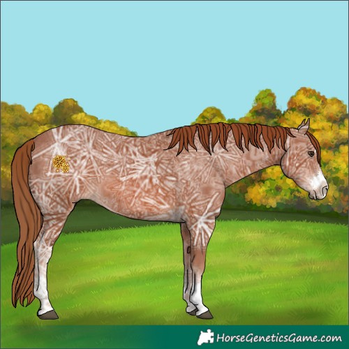 Horse Color:Chestnut Ice 