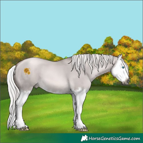 Horse Color:Gray Platinum Chocolate Palomino Pearl Dun Splash 