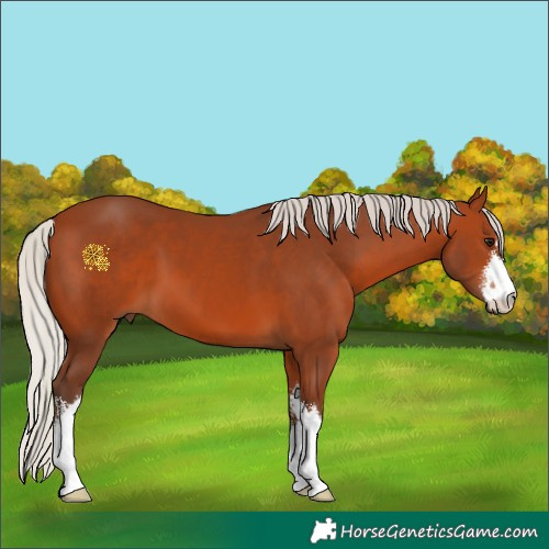 Horse Color:White Spotted Silver Bay 