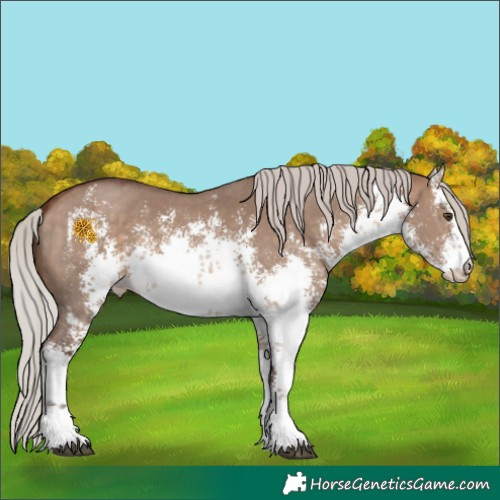 Horse Color:White Spotted Silver Bay Dun Sabino 