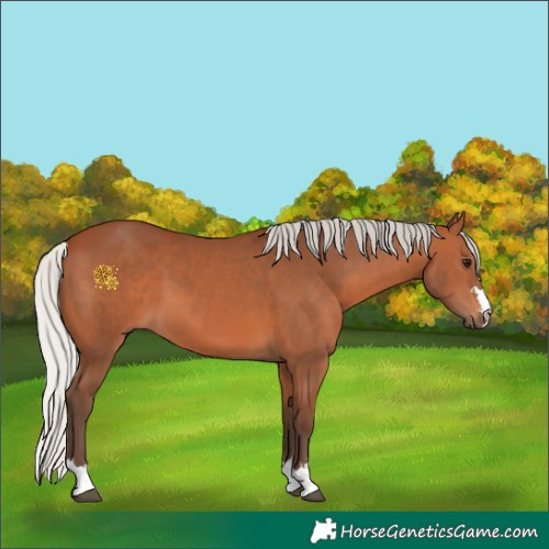 Horse Color:Silver Bay 