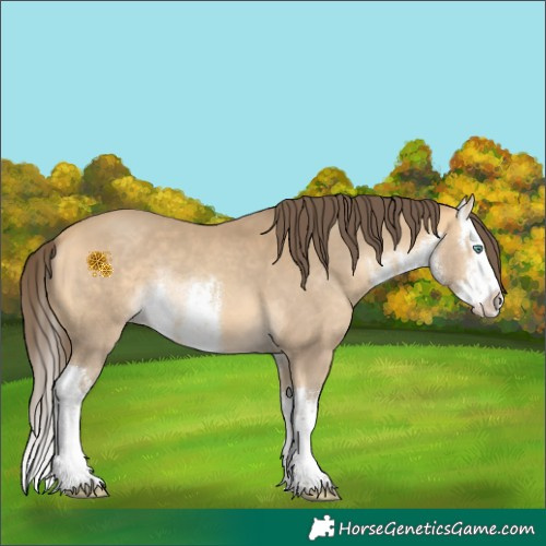 Horse Color:White Spotted Amber Cream Champagne Splash 