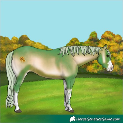 Horse Color:Watercolor White Spotted Silver Brown Onyx Appaloosa 