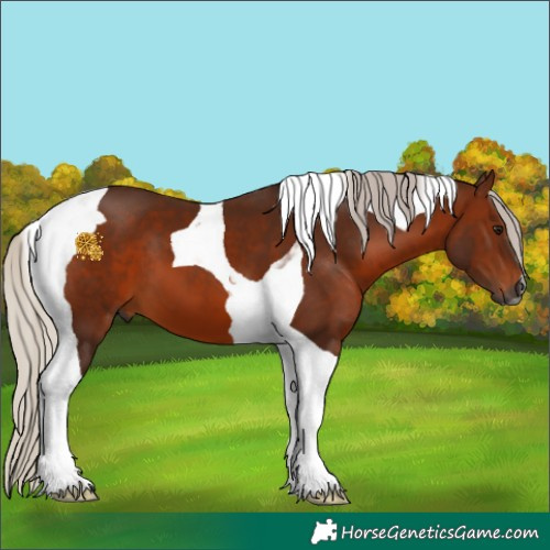 Horse Color:Gray Silver Bay Tobiano 