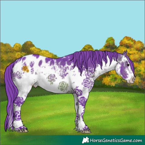 Horse Color:Watercolor White Spotted Chocolate Brown Appaloosa 