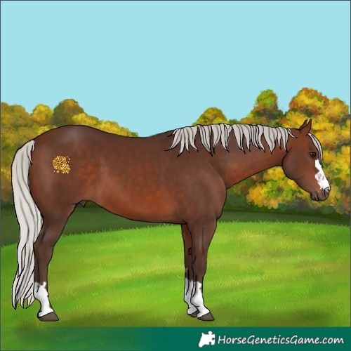 Horse Color:Silver Brown 