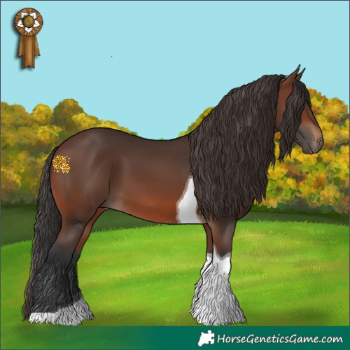 Horse Color:Brown Tobiano 