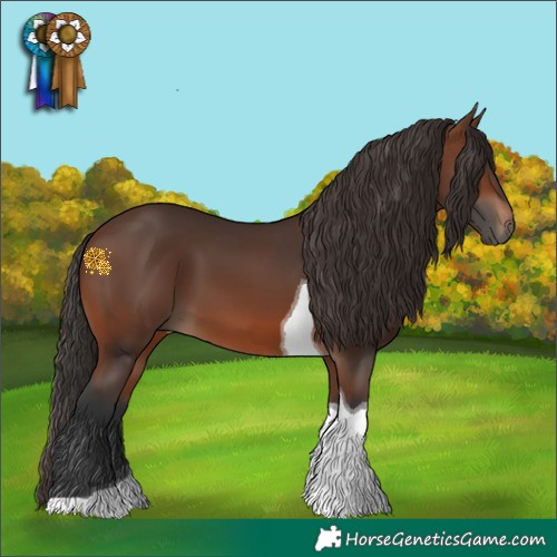 Horse Color:Brown Tobiano 