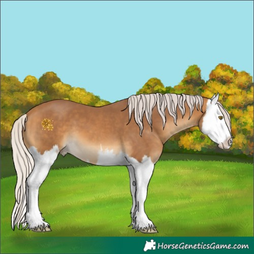 Horse Color:White Spotted Chocolate Silver Buckskin Splash 