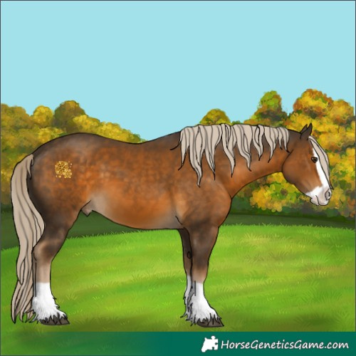 Horse Color:Chocolate Palomino Splash 
