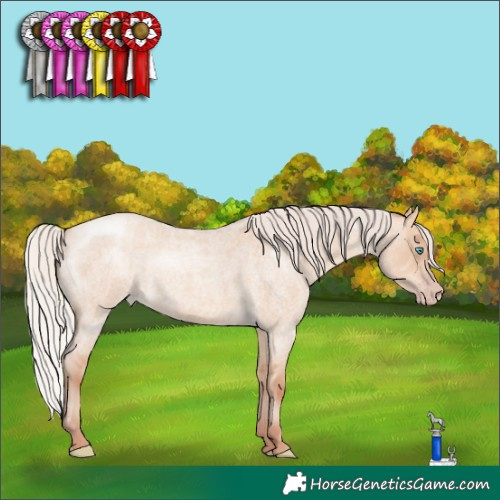 Horse Color:Silver Amber Champagne Roan Dun 