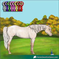 Horse Color:Silver Amber Champagne Roan Dun 