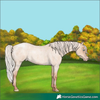 Horse Color:Silver Amber Champagne Roan Dun 