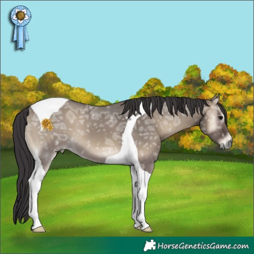 Horse Color:Smoky Grullo Ice Onyx Tobiano 