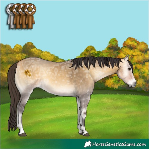 Horse Color:Buckskin Ice Onyx