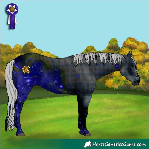 Horse Color:ERROR: UNKNOWN ANOMALY