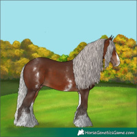 Horse Color:White Spotted Silver Brown Splash 