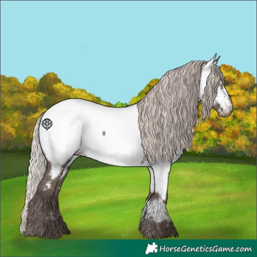 Horse Color:White Spotted Silver Black Near Fewspot 