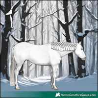 Horse Color:Gray Classic Champagne Dun Sabino Splash Appaloosa 