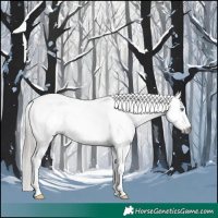 Horse Color:Gray Classic Champagne Dun Sabino Splash Appaloosa 