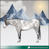Horse Color:White Spotted Brown Roan Frame Appaloosa