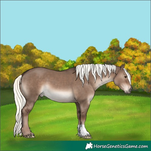 Horse Color:Liver Red Dun Mushroom 