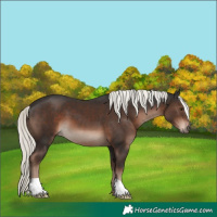 Horse Color:Liver Chestnut Mushroom 