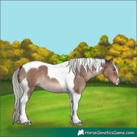 Horse Color:Liver Red Dun Mushroom Tobiano 