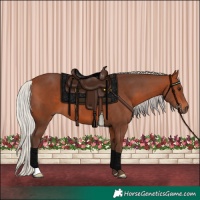 Horse Color:Silver Brown 