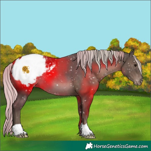 Horse Color:Silver Black Snowcap 