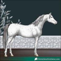 Horse Color:Brown Sabino