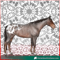 Horse Color:Liver Red Roan Blanket 