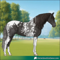 Horse Color:Liver Chestnut Tobiano 