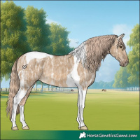 Horse Color:Chocolate Palomino Ice Dun Tobiano