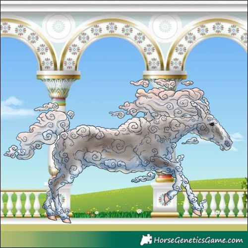 Horse Color:Silver Black Splash