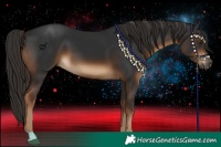 Horse Color:Gray Liver Chestnut 