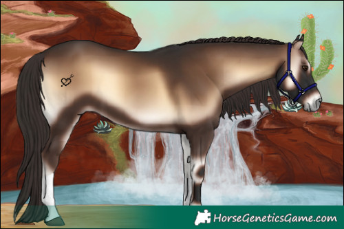 Horse Color:Liver Red Onyx Tobiano